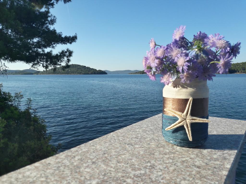 Pansion Alen - Dugi Otok Acomodação com café da manhã Luka  Exterior foto